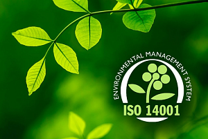 Практические вопросы внедрения и проверки системы экологического менеджмента на основе ГОСТ Р ИСО 14001-2016 (16 часов, 72 часа)